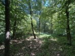 Wald - Mischwald -20% auf Bodenrichtwert !!! Einmalige Gelegenheit!