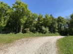 Zufahrt - Mischwald -20% auf Bodenrichtwert !!! Einmalige Gelegenheit!