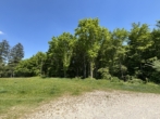 Wald - Mischwald -20% auf Bodenrichtwert !!! Einmalige Gelegenheit!