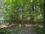 Zuwegung Wald - Mischwald -20% auf Bodenrichtwert !!! Einmalige Gelegenheit!